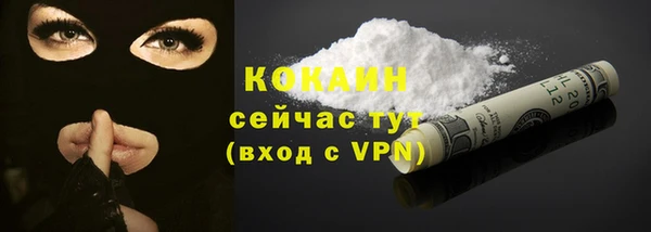 твердый Семёнов
