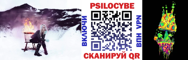 Галлюциногенные грибы Psilocybe Мостовской
